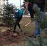Чистый воздух города: акция по компенсационному озеленению прошла в Дзержинске - ТК Дзержинск