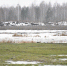 Депутаты комитета по городскому хозяйству думы Дзержинска оценили результаты рекультивации крупной несанкционированной свалки ТБО в районе полигона Игумново. - Городская дума Дзержинска