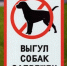 Собак – на площадку - Дзержинские ведомости