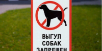 Собак – на площадку - Дзержинские ведомости