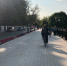 В Дзержинске полиция раскрыла кражу велосипеда за 30 тысяч рублей - ProDzer.Ru