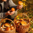 Этот гриб пахнет селёдкой, но знающие грибники наполняют им корзины: что им известно - ProDzer.Ru