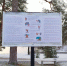 В Дзержинске определены безопасные площадки для запуска пиротехнических изделий 2 и 3 классов опасности (пуск фейерверков, салютов, петард) - Дзержинск.рф