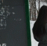 Мошенничество по телефону и изменения пенсий: главные новости за 13 января в Дзержинске - ProDzer.Ru