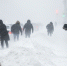 Метель и гололедица накроют регион 28 января: морозы до -15°С и снежные заносы - ProDzer.Ru