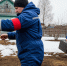Бешеные лисицы заставили закрыть две деревни под Нижним Новгородом - ProDzer.Ru
