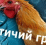 310 - ЦБС г. Дзержинска